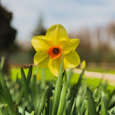 Diagnose Kinderkrebs, dann braucht es Lichtblicke